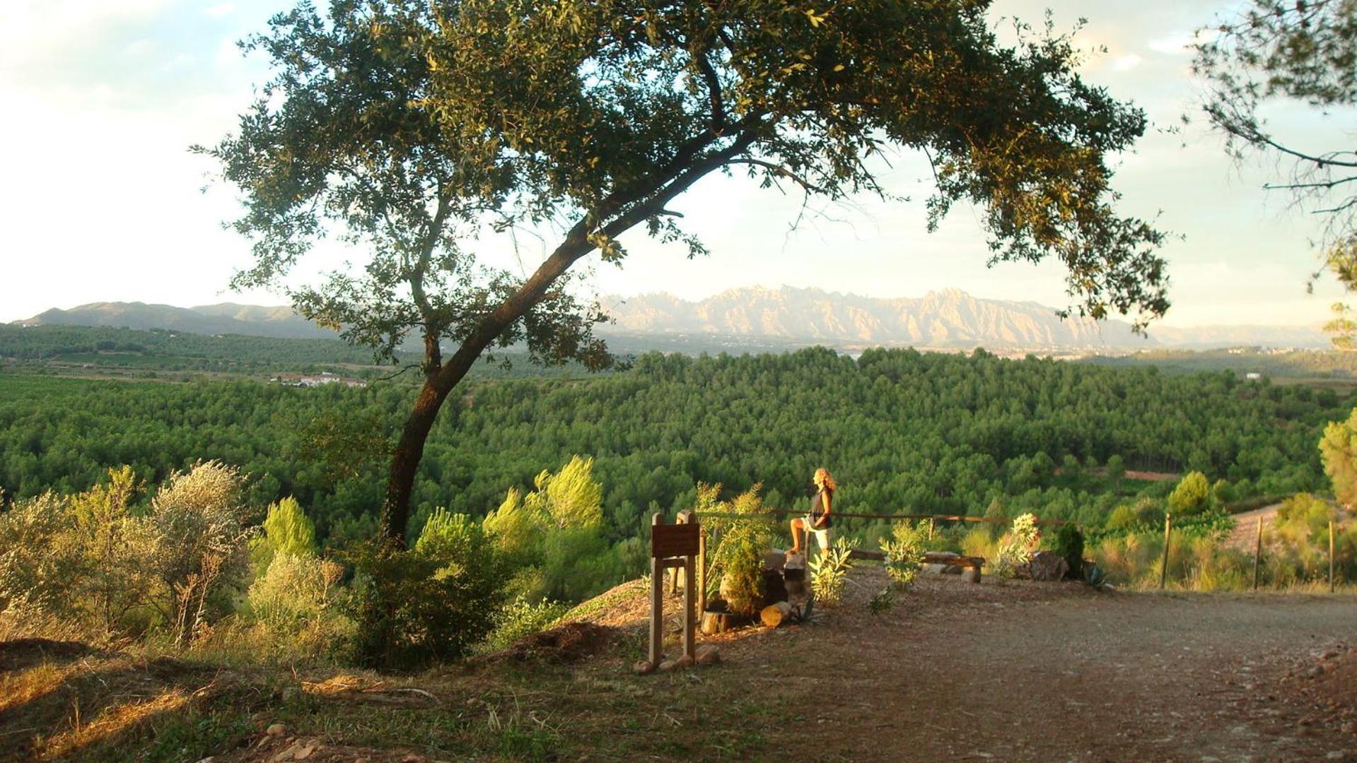 Comarquinal Bioresort Penedes San Quintín de Mediona Eksteriør bilde